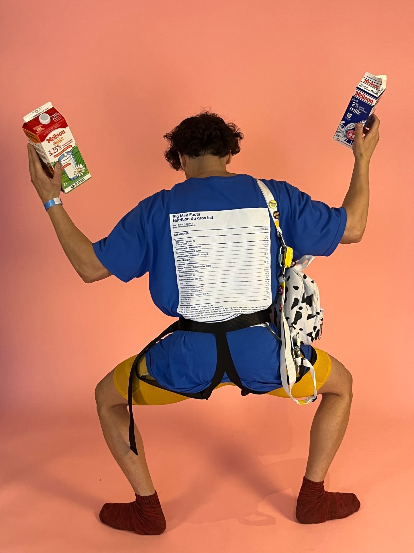SATIRE SHIRT (free shipping USA&CAN)