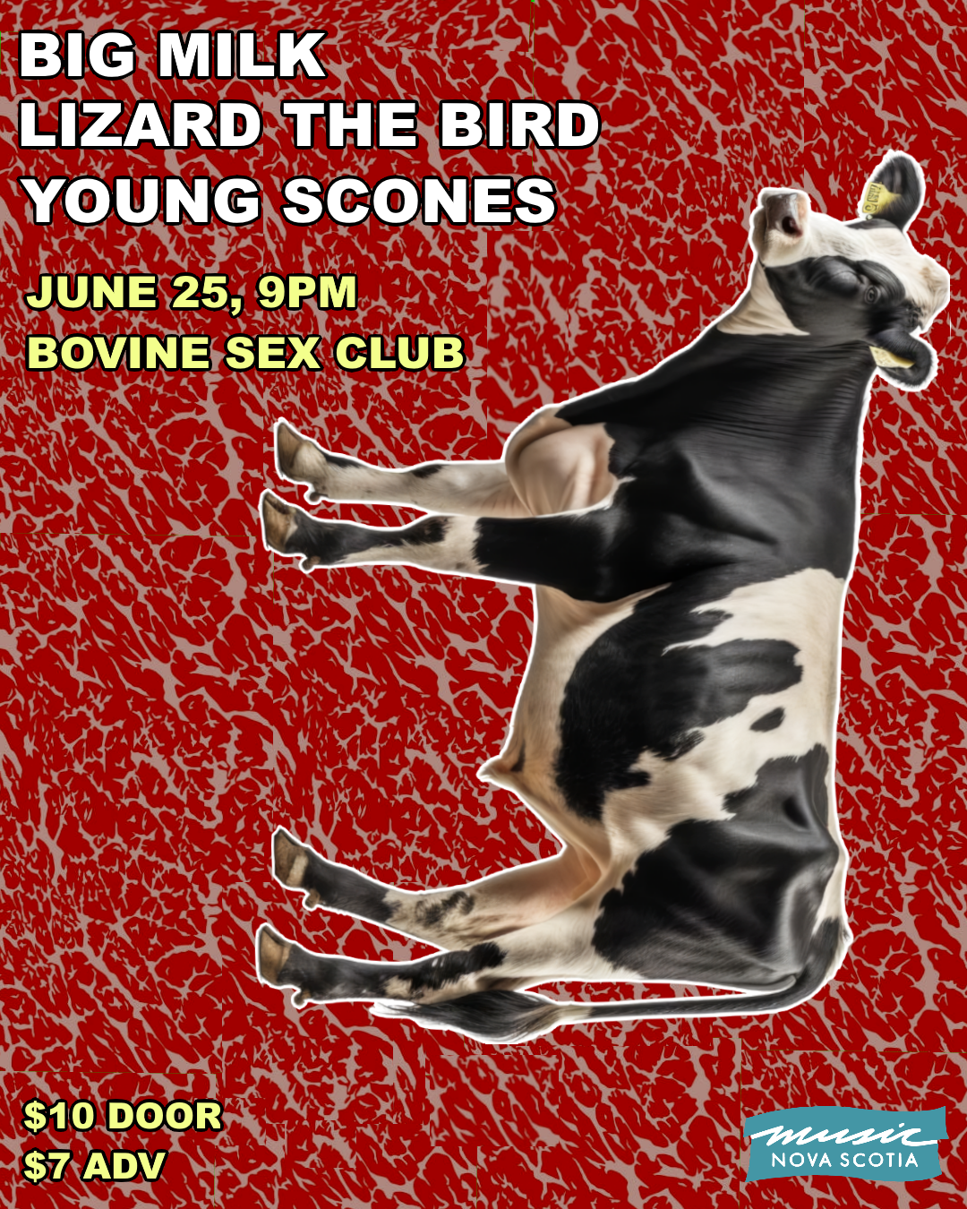 JUNE 25 - THE YOUNG SCONES, BIG MILK, LIZARD THE BIRD @ BOVINE SEX CLU